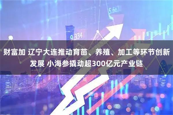 财富加 辽宁大连推动育苗、养殖、加工等环节创新发展 小海参撬动超300亿元产业链