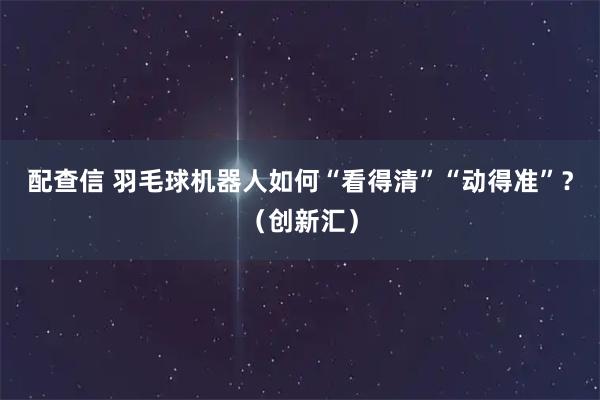 配查信 羽毛球机器人如何“看得清”“动得准”？（创新汇）
